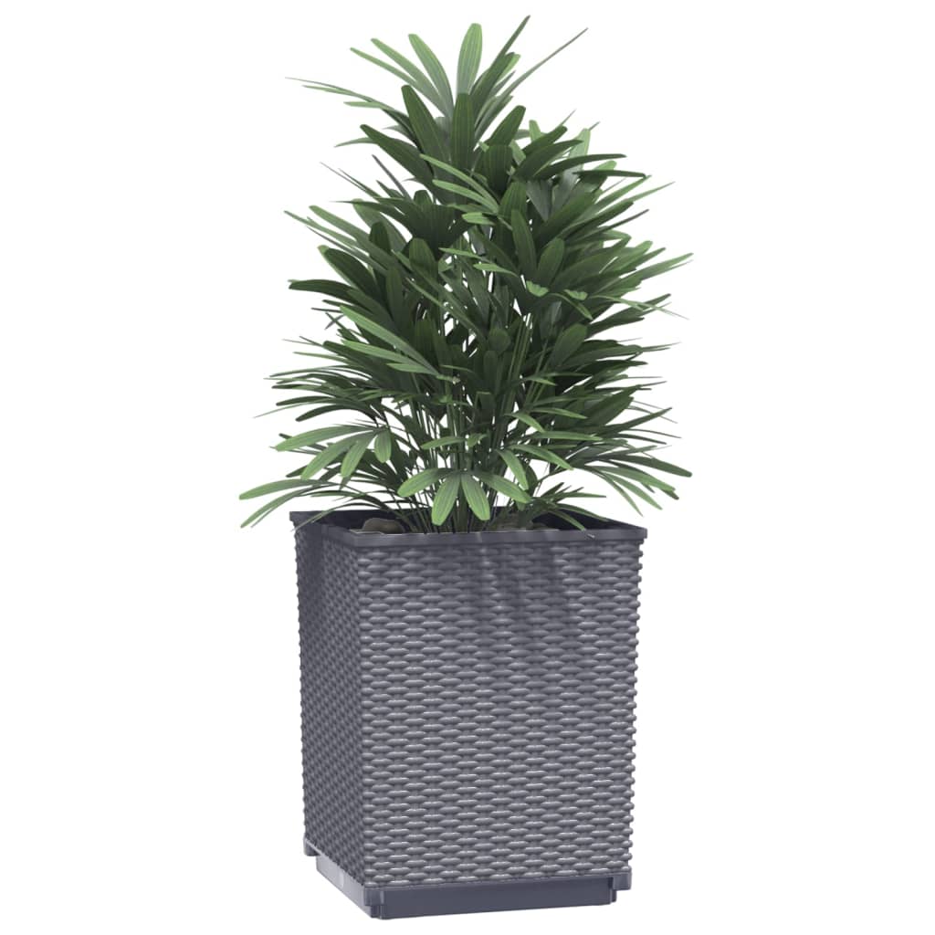 Vidaxl Planters 4 st 30x30x37 cm Polypropene dark gray