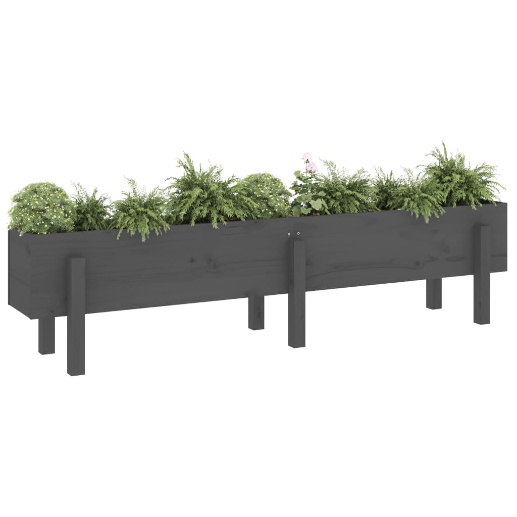 Vidaxl Planter zvedl 160x30x38 cm pevné borovice šedá