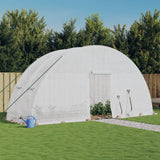 Vidaxxl Gartengewächshaus mit Stahlrahmen 12 m² 6x2x2,85 m