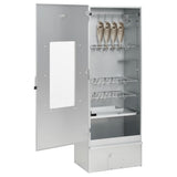 VidaXL BBQ Smoker mit Holzspänen 44,5x29x110 cm Stahl