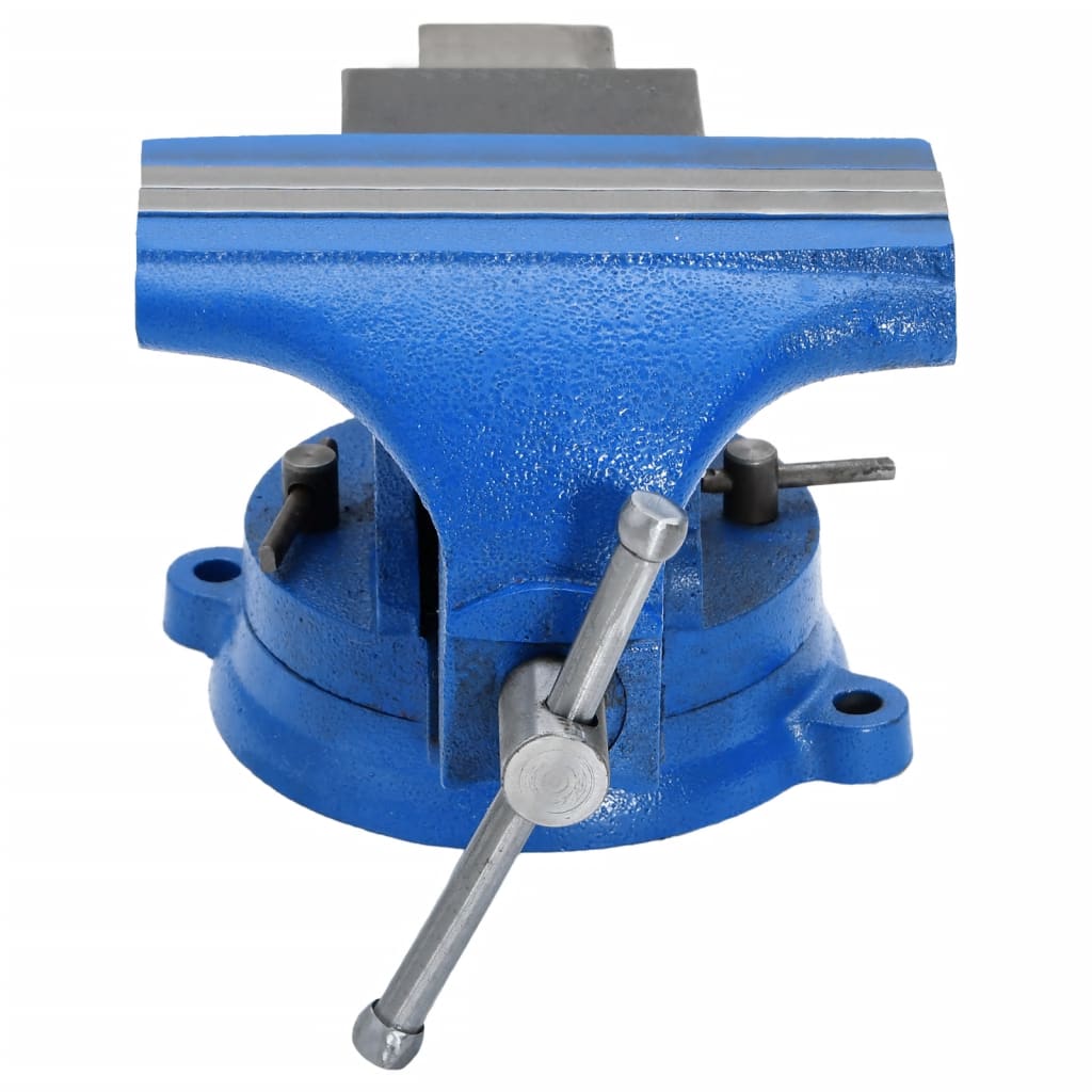Vidaxx Schraubstock 100 mm Gusseisen blau