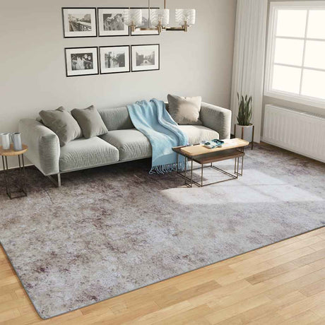 Vidaxx Teppich waschbar rutschfest 400x300 cm grau