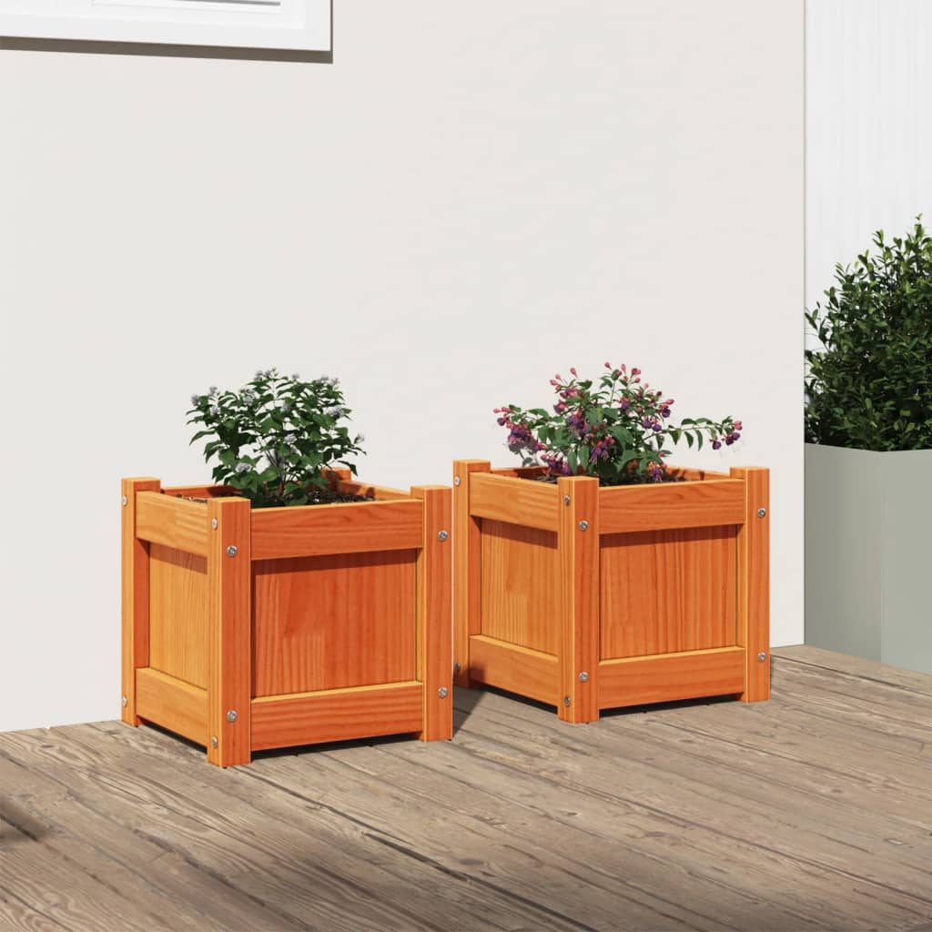 Vidaxl Plantadores 2 PC CM Pino Solid Pine Brown