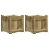 Vidaxl Pflanzgefäße 2 cm imprägniertes Holz