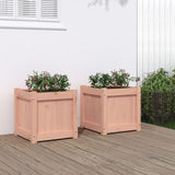 Vidaxl Planters 2 st Solid Douglashout