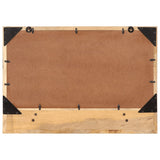 Vidaxl spiegel met schap 80x8x55 cm glas en massief mangohout