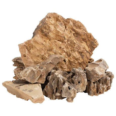 VidaXL Drachensteine ​​10 kg 5-30 cm braun