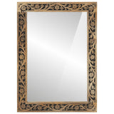 Vidaxx Badezimmerspiegel 50x70x2,5 cm aus massivem Mangoholz und Glas