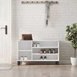 Vidaxl Shoe Cabinet 102x36x60 cm Property Wood White