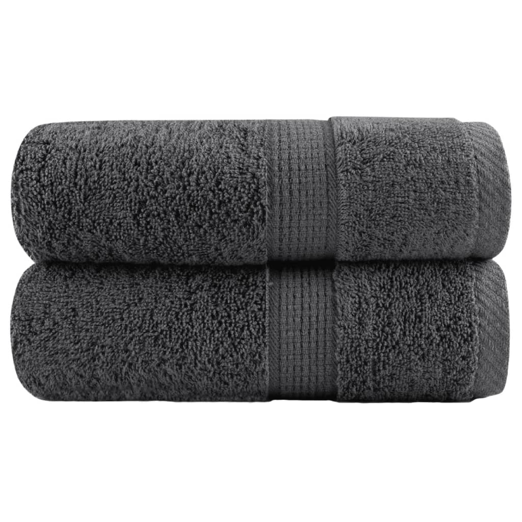 Vidaxl Guest Wipes Solund 2 PCS 600 g m² 30x50 cm couleur anthracite