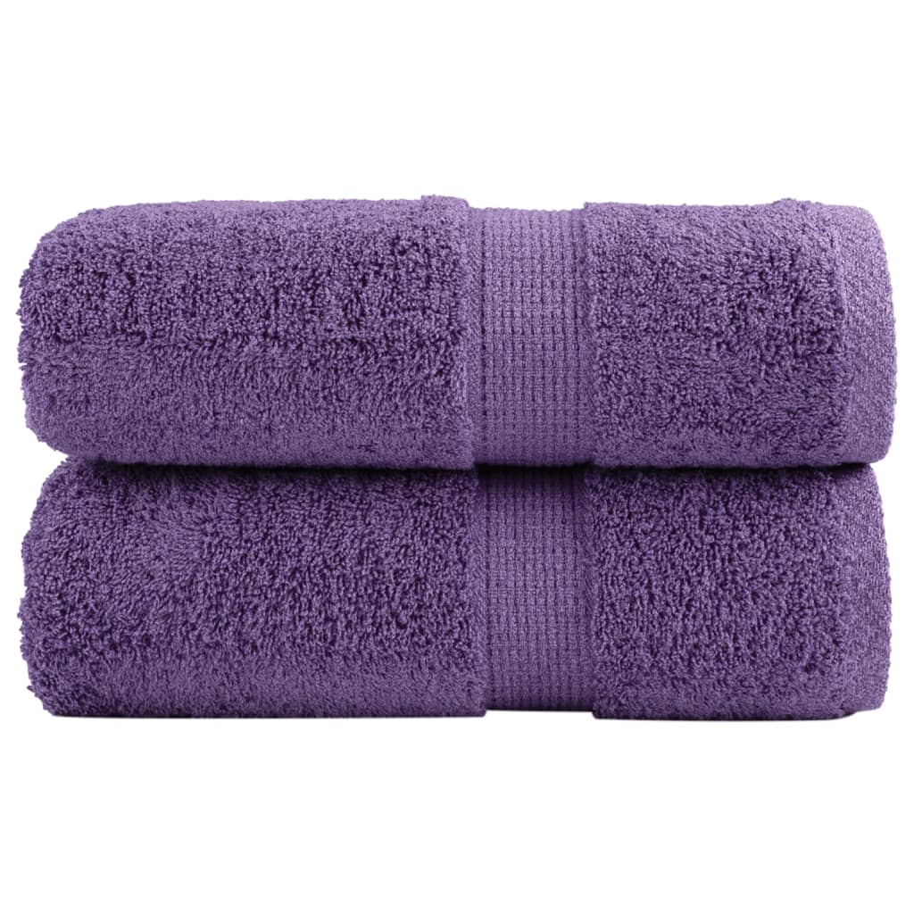 Vidaxl Wipes Solund 2 PCS 600 g m² 30x50 cm Purple