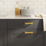 VidaXL Griffe 20 Stk. 96 mm Edelstahl goldfarben
