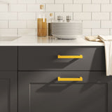 VidaXL Griffe 20 Stk. 128 mm Edelstahl goldfarben