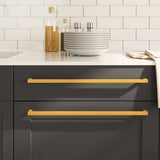 VidaXL Griffe 20 Stk. 480 mm Edelstahl goldfarben
