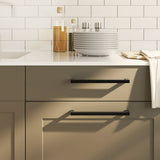 VidaXL Griffe 20 Stk. 224 mm Edelstahl schwarz