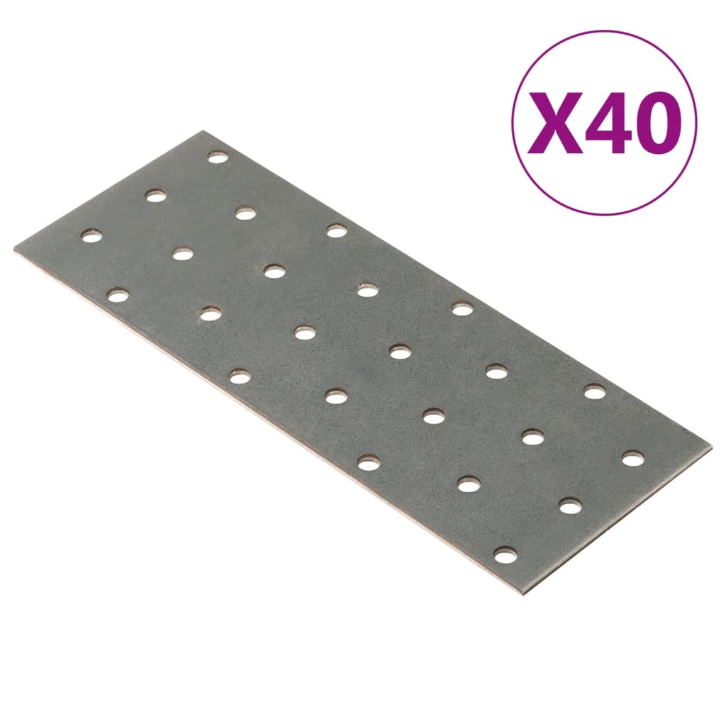 VIDAXL -Platten perforiert 40 PCs 2 mm 160 x 60 mm verzinkter Stahl