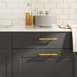 VidaXL Griffe 10 Stk. 96 mm Edelstahl goldfarben