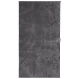 VidaXL Teppich Huarte Kurzflor weich waschbar 60x110 cm Anthrazit