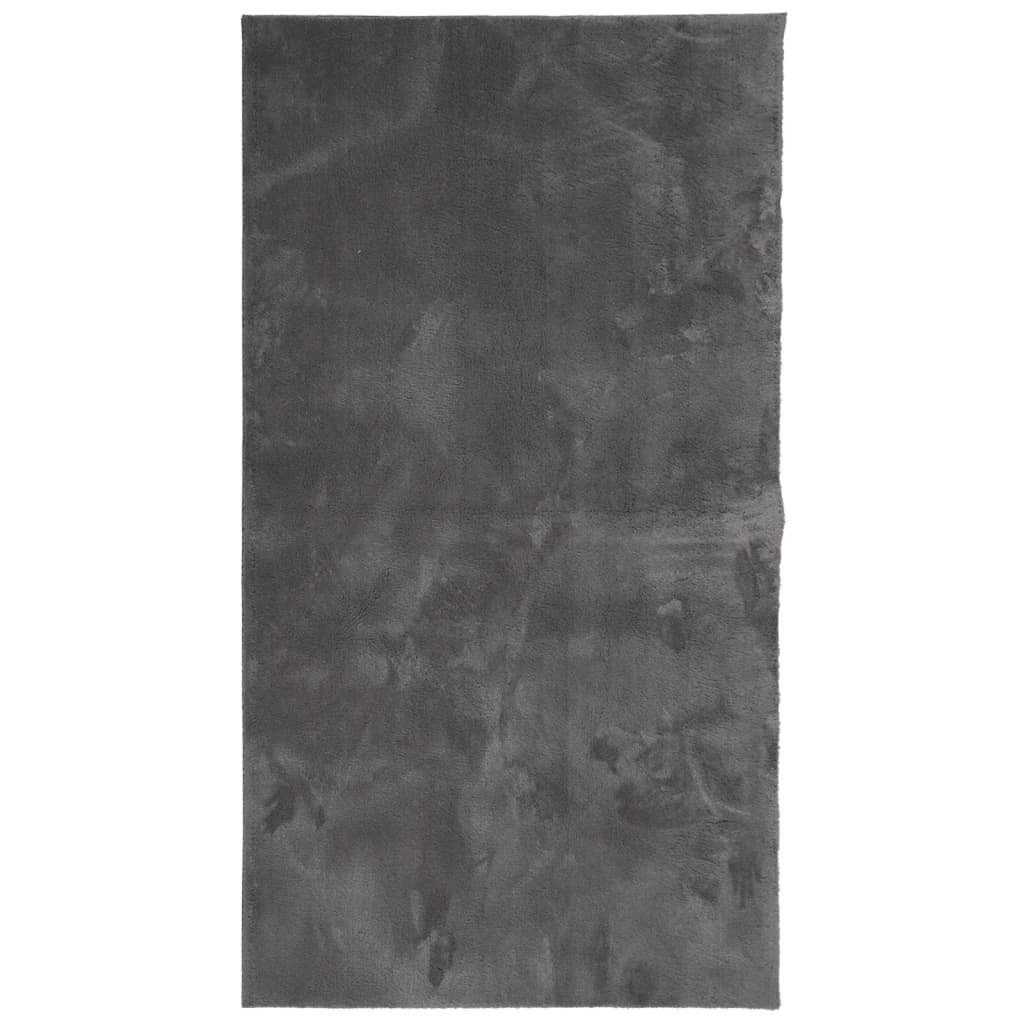 Vidaxl rug Huarte low -pole soft washable 80x150 cm anthracite