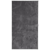 Vidaxl rug harte low -pole mëll warwakble 80x150 cm Anthhracit