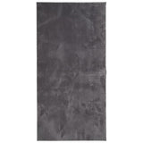 VidaXL Teppich Huarte Kurzflor weich waschbar 100x200 cm Anthrazit