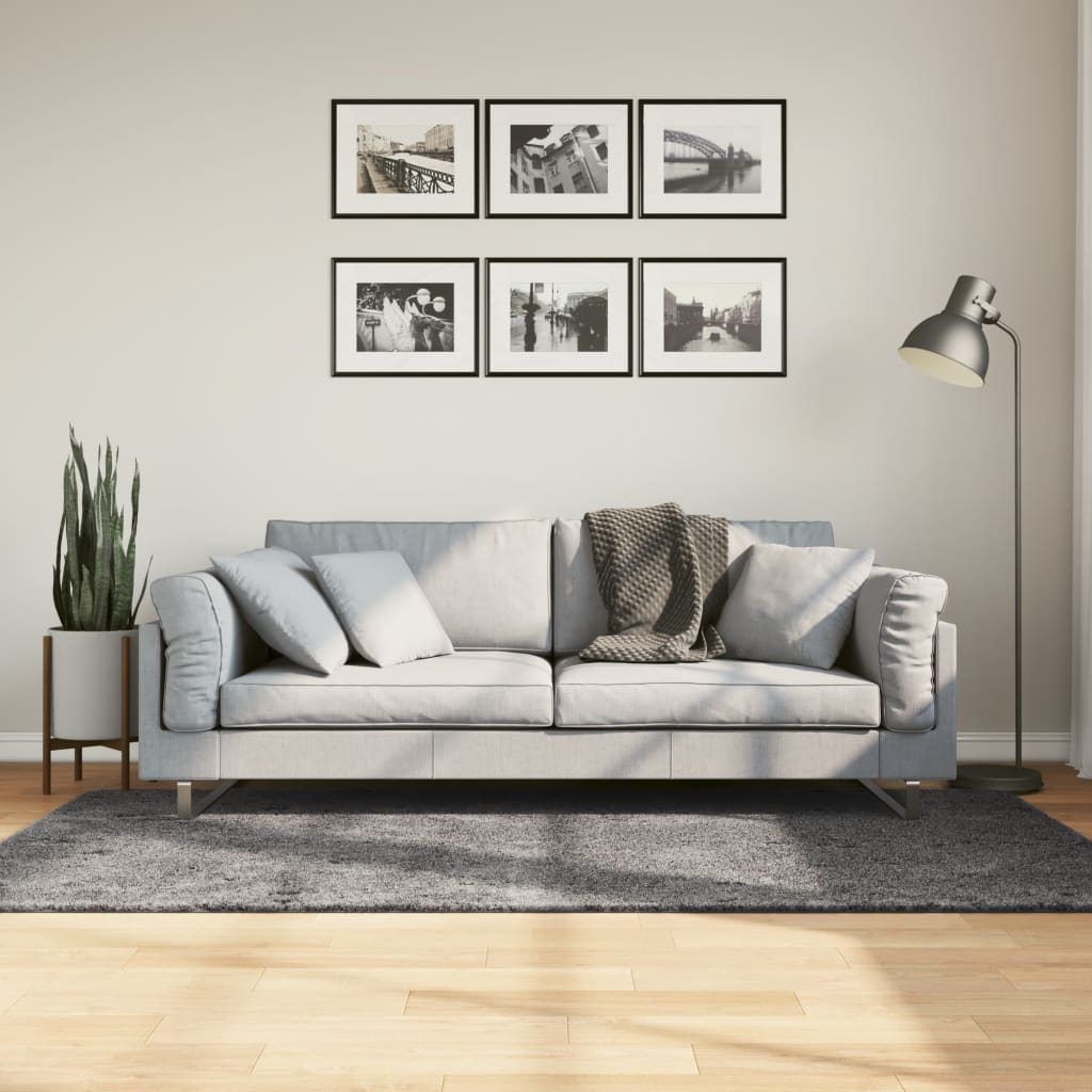 VidaXL Teppich Huarte Kurzflor weich waschbar 120x170 cm Anthrazit