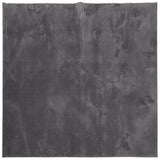 Vidaxl rug Huarte low -pole soft washable 160x160 cm anthracite