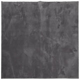 VidaXL Teppich Huarte Kurzflor weich waschbar 200x200 cm Anthrazit