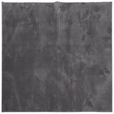 Tapis vidaxl Huarte Low-Pole Soft Soft Lavable 200x200 cm anthracite