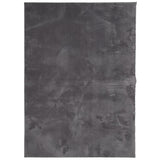 Bidaxl -mattan Huarte Low -Pile Soft Washable 200x280 cm Anthracite