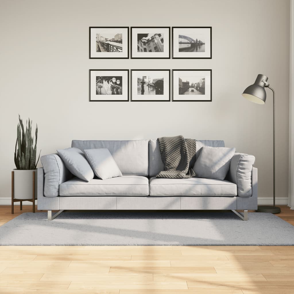 Vidaxx Teppich Huarte Kurzflor weich waschbar 100x200 cm grau