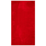 Vidaxl RAG HUARTE -POLOLE -POLOLE SOLABILE MORSO 80x150 cm di rosso