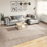 Vidaxl RUAM PAMPLONA SHAGGY BEIGE 300X400 CM ALTAMENTE MODERNO