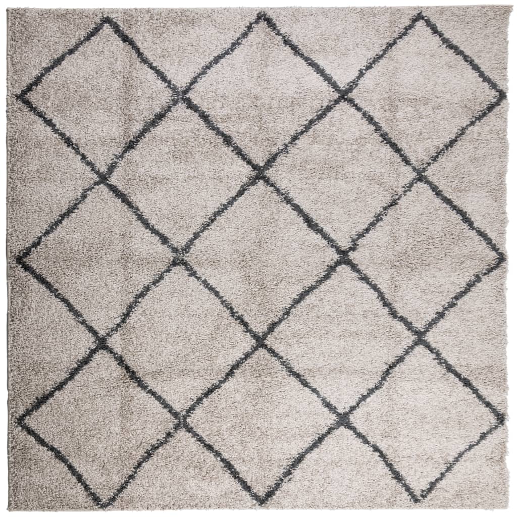 Vidaxl rug Paramplona shailgy héich pile 160x16 cm Berige Anthracit