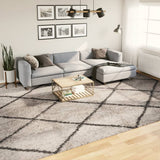 Vidaxl tapis Pampelune Shaggy hautement Pole 300x400 cm anthracite beige