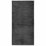 VidaXL Teppich Iza Niedrigflor skandinavisch 100x200 cm Anthrazit