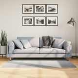 VidaXL Teppich Iza Kurzflor skandinavisch 80x150 cm grau