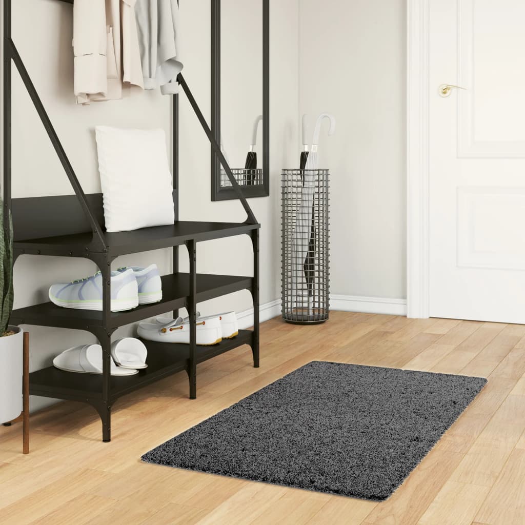 Vidaxl Rug Oviedo Low -Pile 60x110 cm Anthracite -farvet