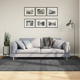 Vidaxx Teppich Oviedo Niederflor 160x230 cm Anthrazit