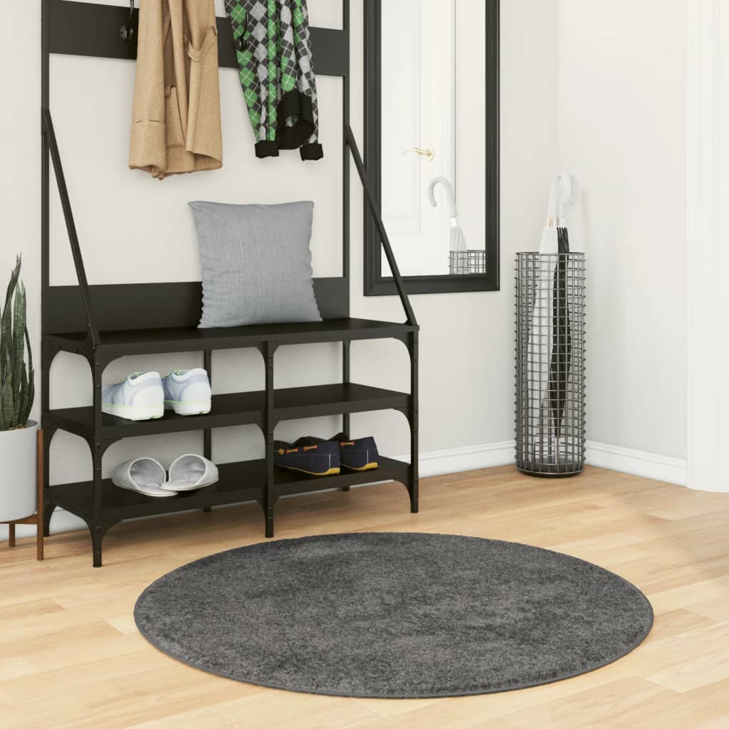 Vidaxl Rug Oviedo Low -Pile Ø 100 cm Antracit -farvet