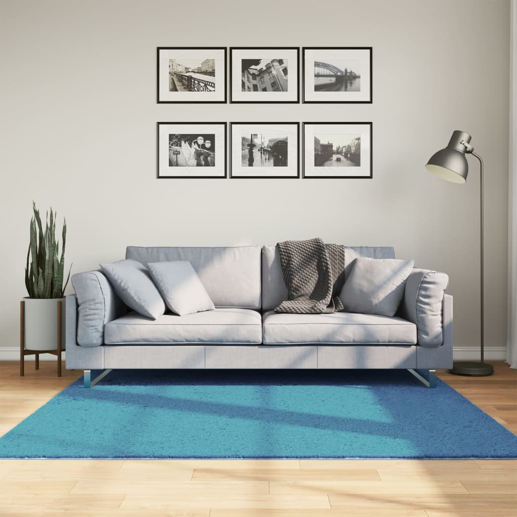 Vidaxl RUG OVIEDO BAJO Pile 160x160 cm Turquesa