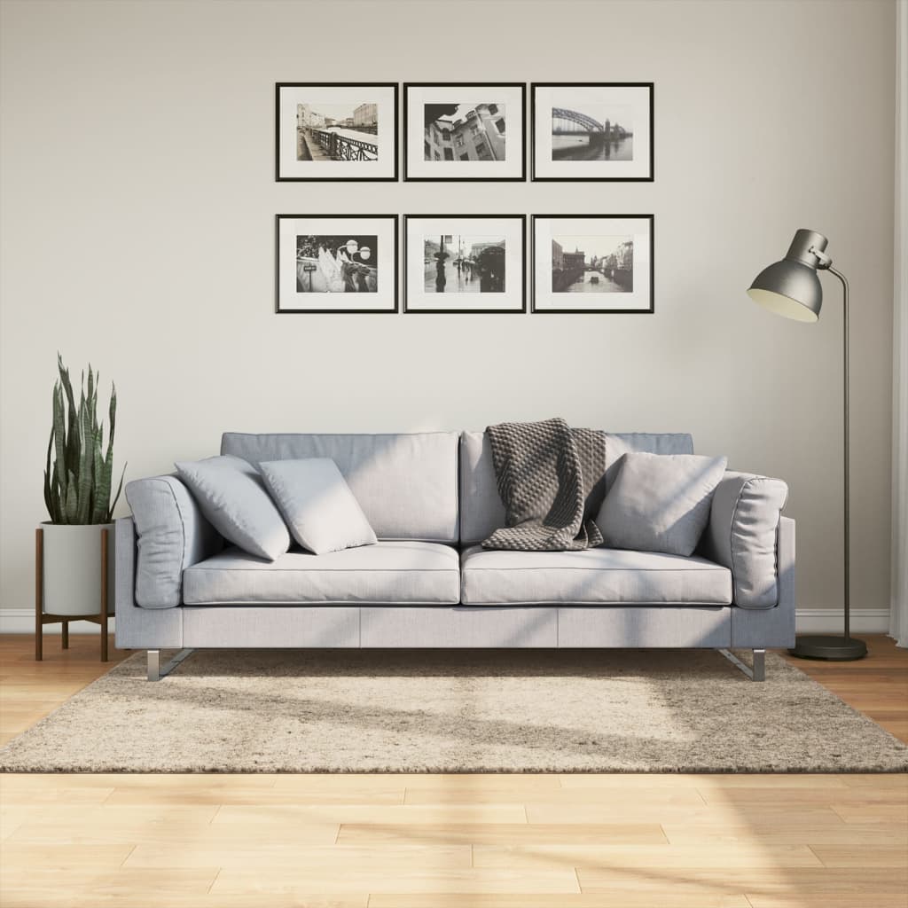 De Vidaxl Tug Istan héich glänzend 120x170 cm beige