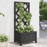 Vidaxl Planter med Latwerk Solid Vurenhout Black