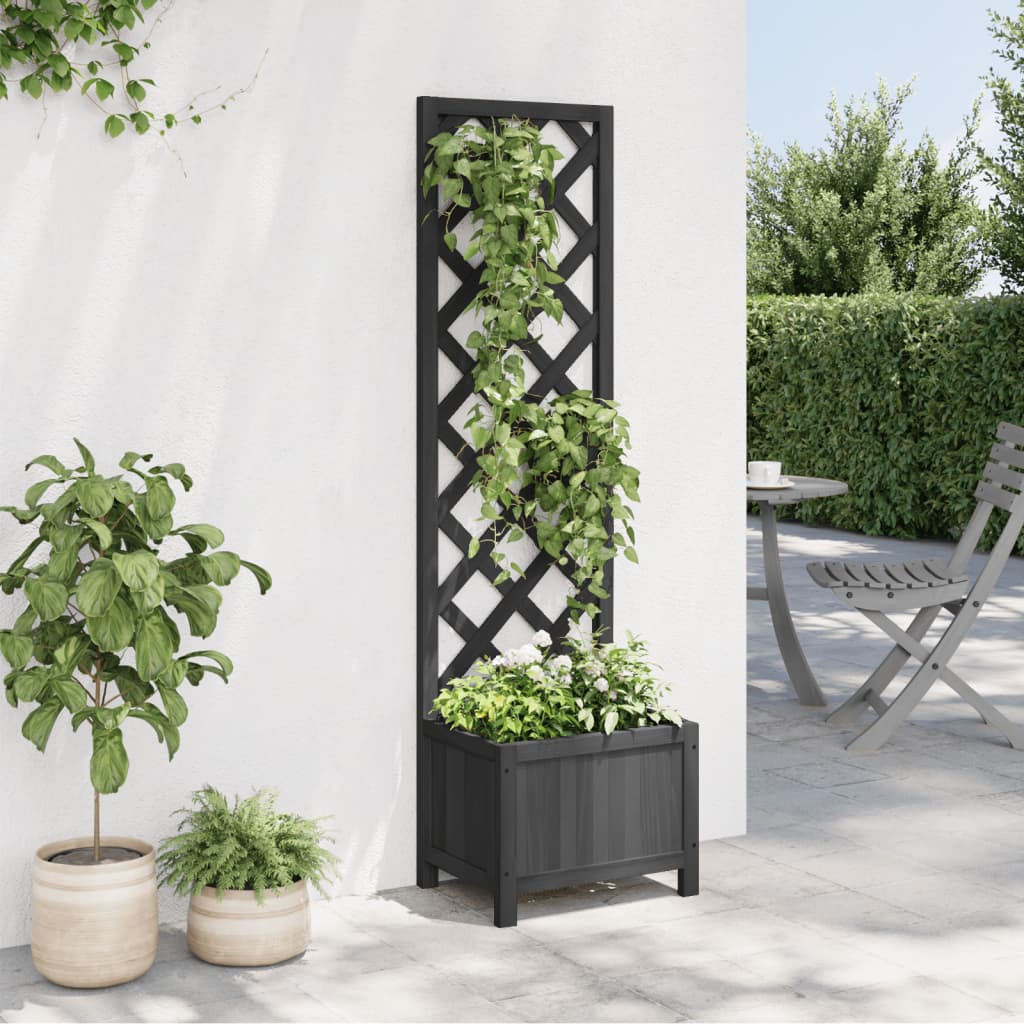 Vidaxl Planter s latwerk solidní Vurenhout Black