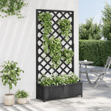 Vidaxl Planter s latwerk solidní Vurenhout Black