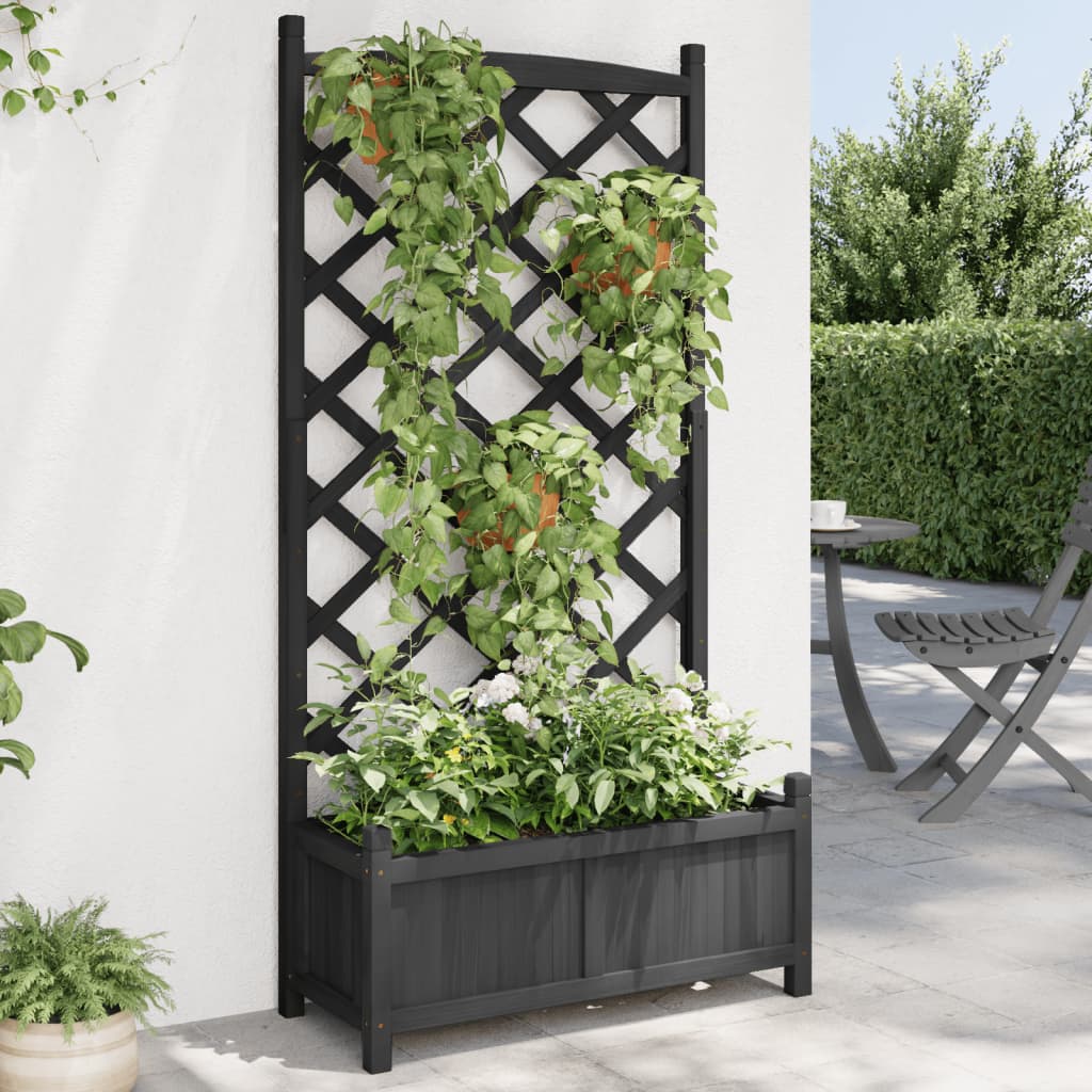 Vidaxl Planter s latwerk solidní Vurenhout Black