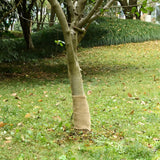VidaXL Juterolle 200 g m² 0,25x5 m 100 % Jute