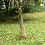 VidaXL Juterolle 200 g m² 0,25x10 m 100 % Jute