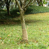 VidaXL Juterolle 200 g m² 0,25x15 m 100 % Jute