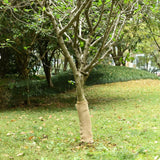 VidaXL Juterolle 200 g m² 0,5x5 m 100 % Jute